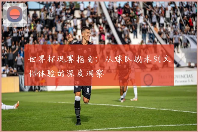 世界杯观赛指南：从球队战术到文化体验的深度洞察