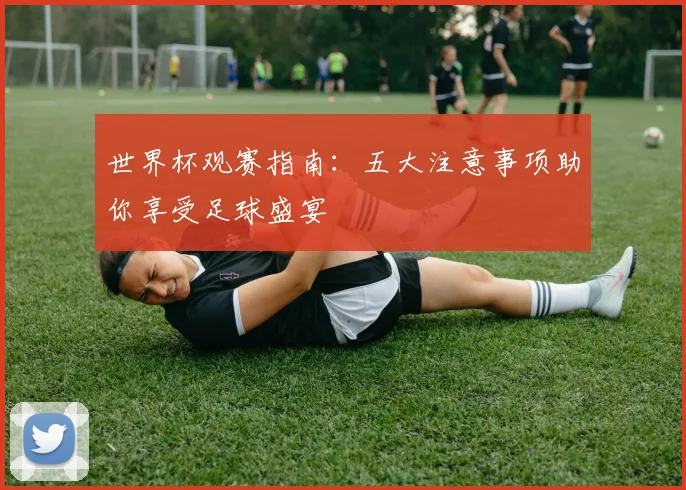世界杯观赛指南：五大注意事项助你享受足球盛宴