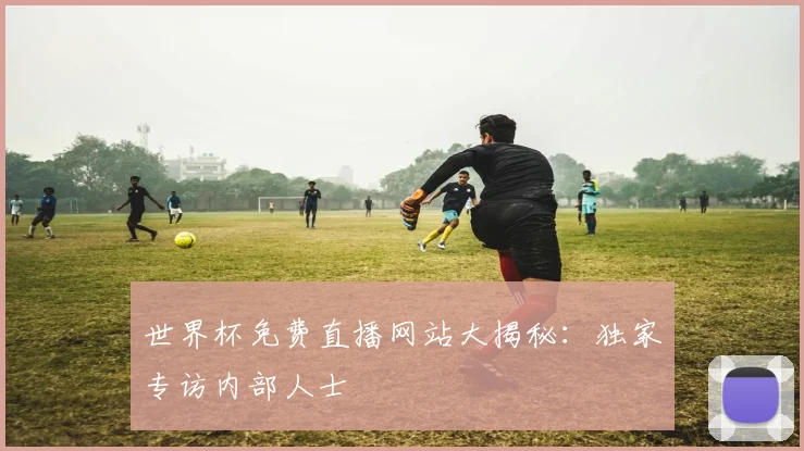 世界杯免费直播网站大揭秘：独家专访内部人士