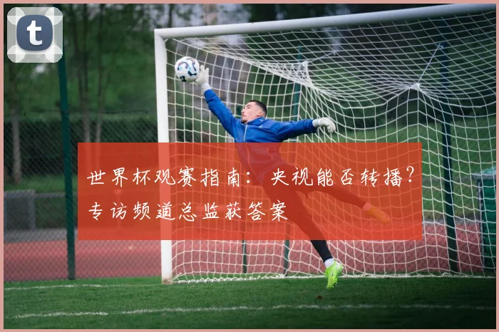 世界杯观赛指南：央视能否转播？专访频道总监获答案