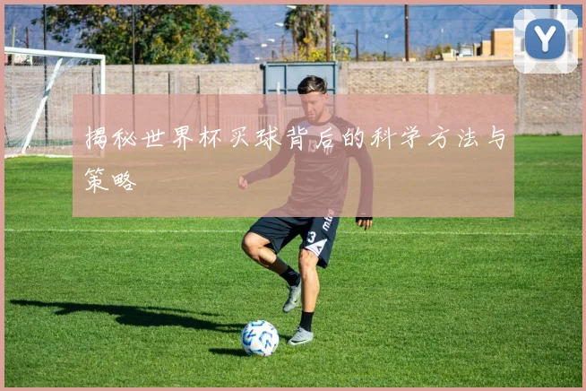 揭秘世界杯买球背后的科学方法与策略