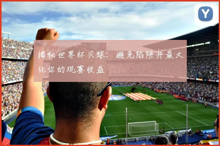 揭秘世界杯买球：避免陷阱并最大化你的观赛收益