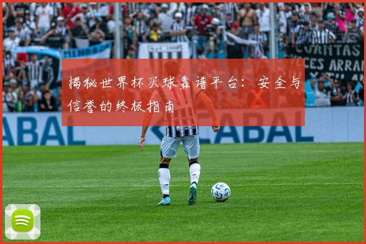揭秘世界杯买球靠谱平台：安全与信誉的终极指南