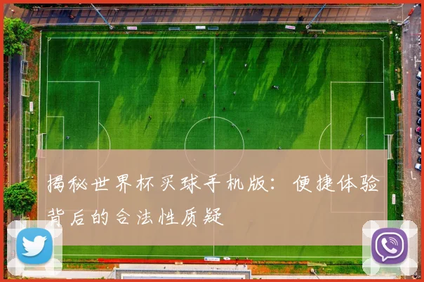 揭秘世界杯买球手机版：便捷体验背后的合法性质疑