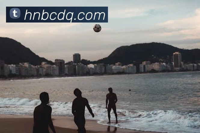 大阳城3官方娱乐网站服务体系